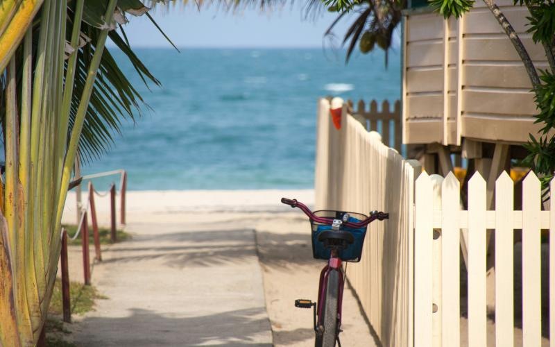 a bicycle parked on a path by a beach